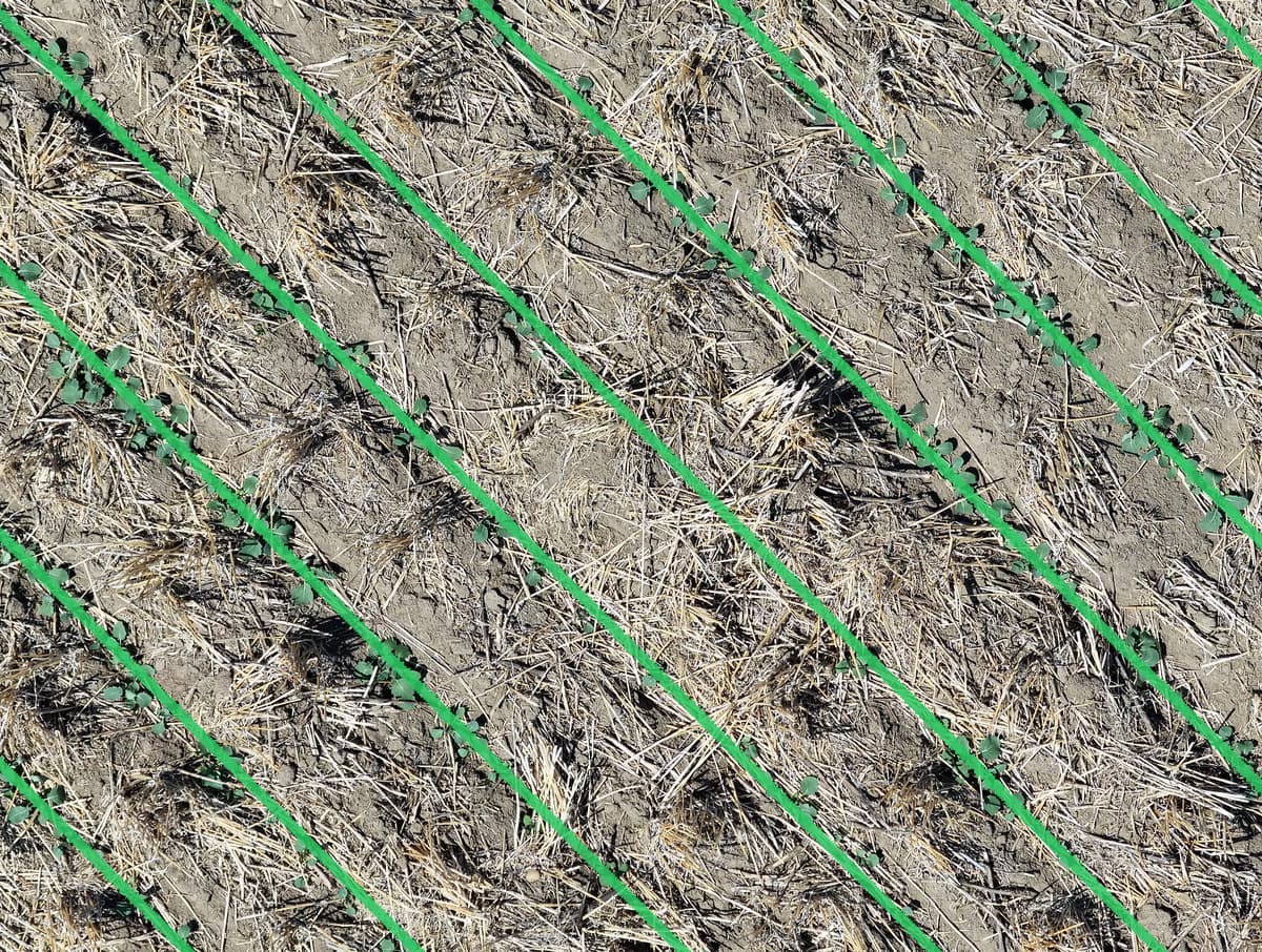 Row overlay visualization